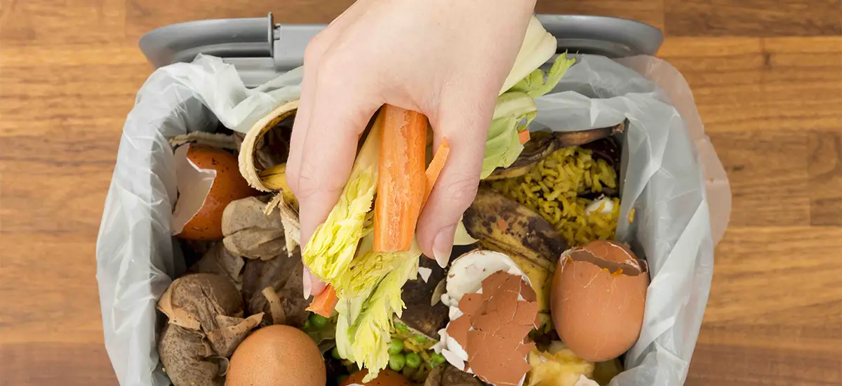 How to compost in an apartment