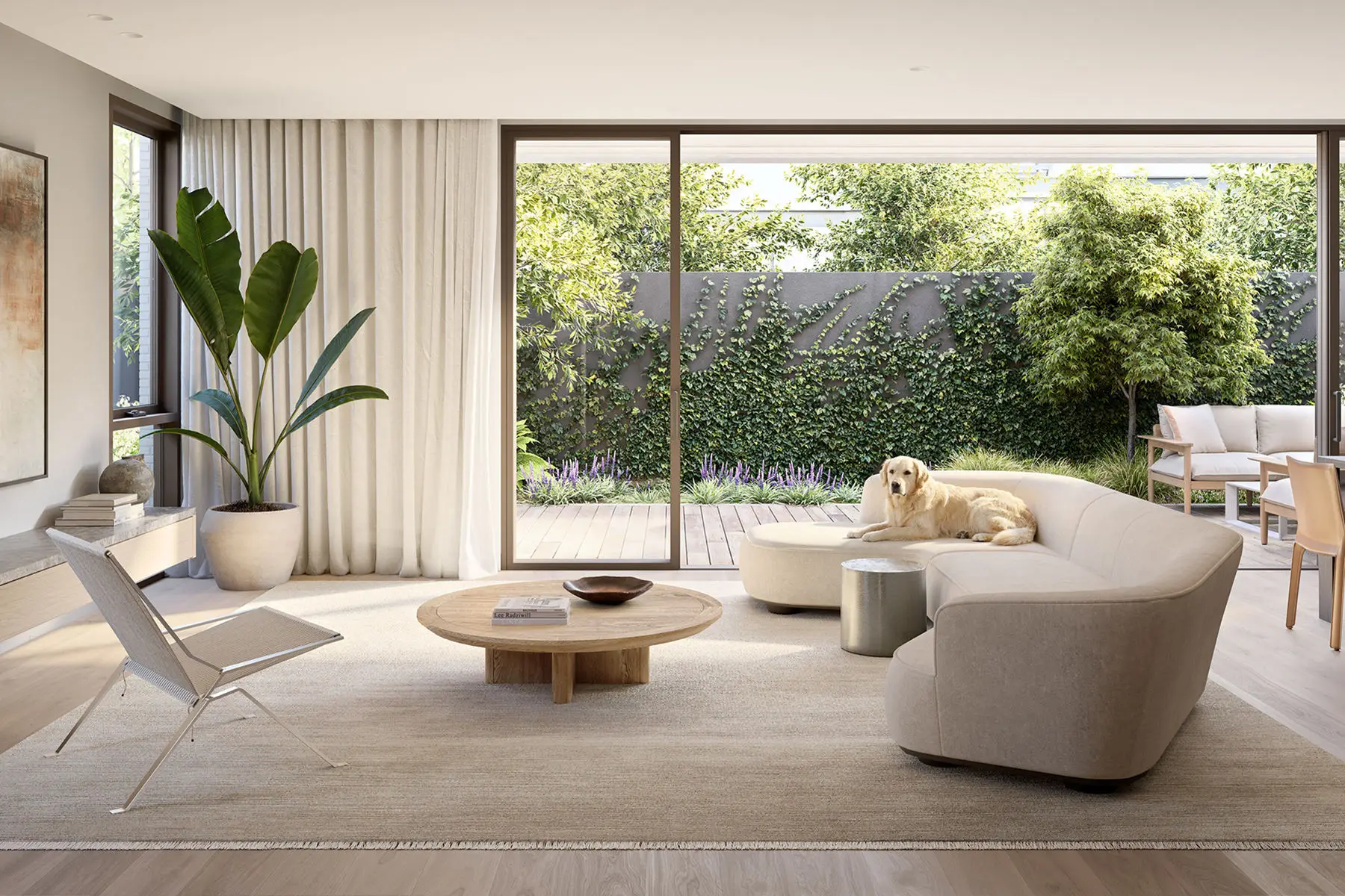 goldenretriever_011_optimized