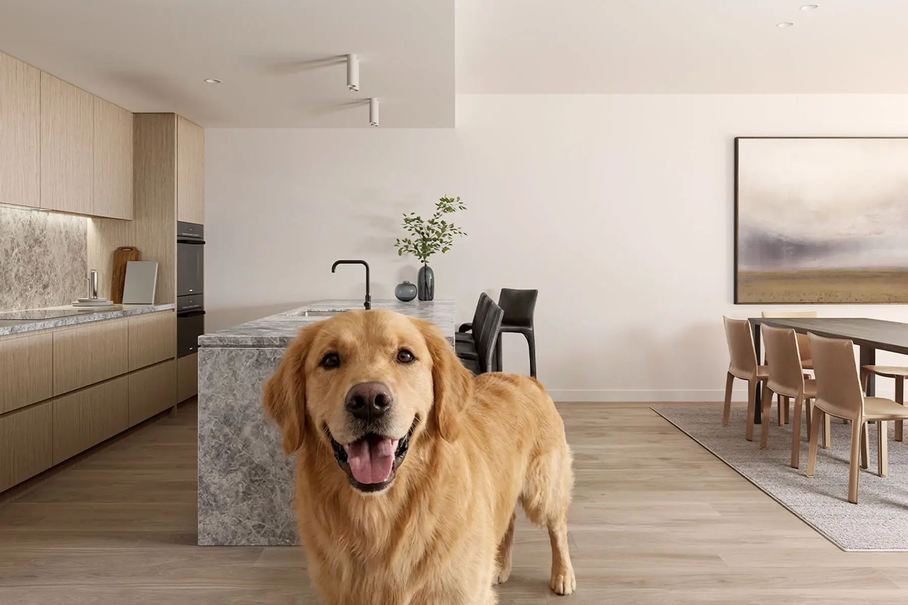 Chomley Terraces - Prahran, Victoria - Investment Property