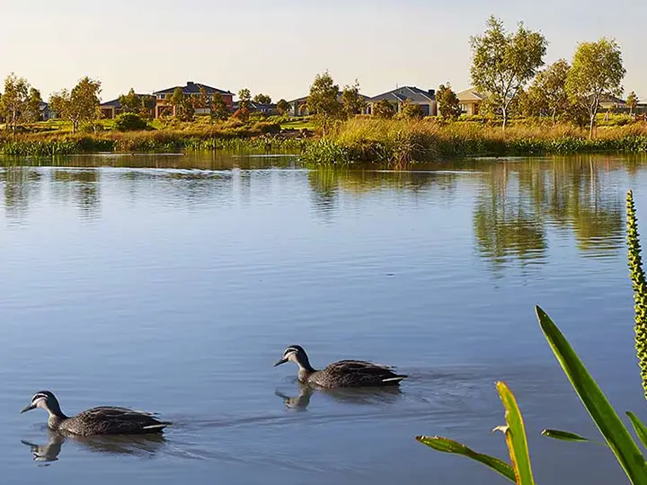 Manor Lakes
