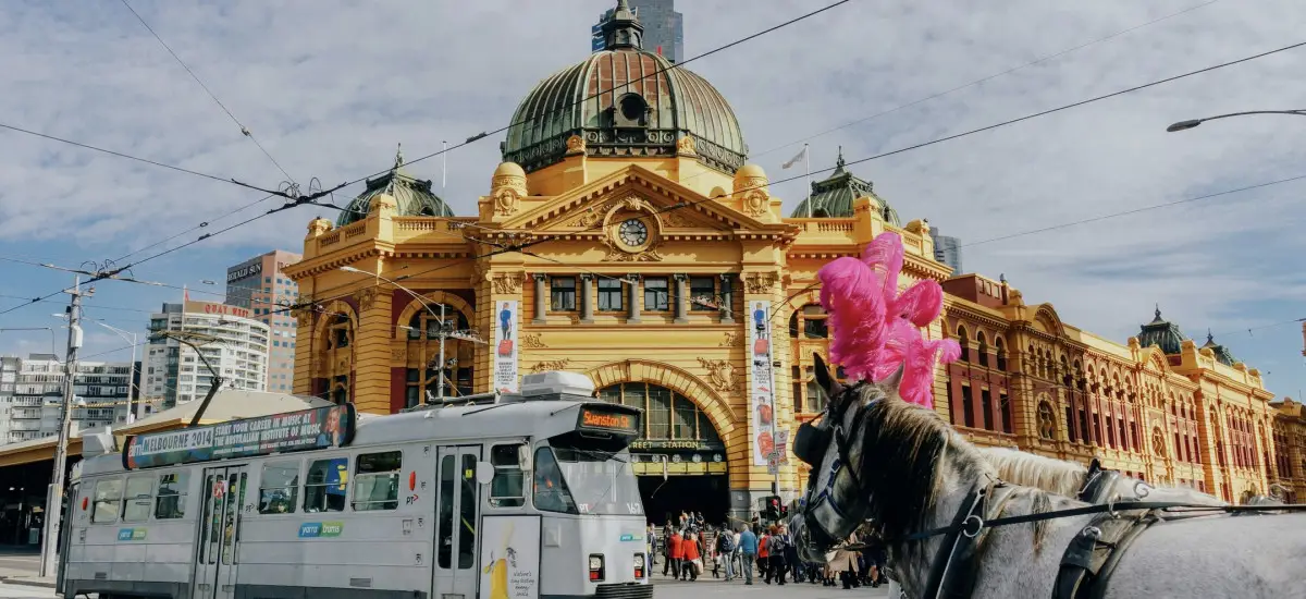 adxy-yew-ifdprhopi_e-unsplash_compressed