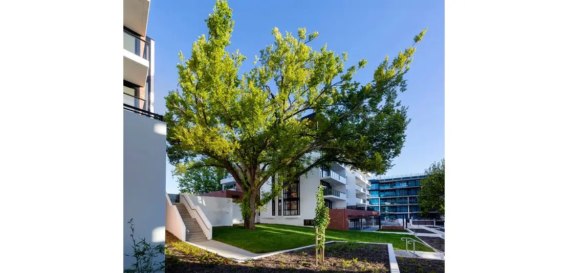 Renaissance - Griffith, Australian Capital Territory - Investment Property