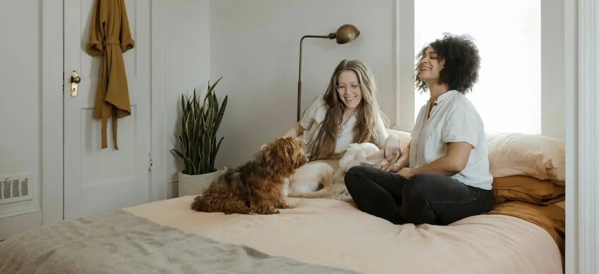 adchewy-3camue3yao8-unsplash-1-_compressed