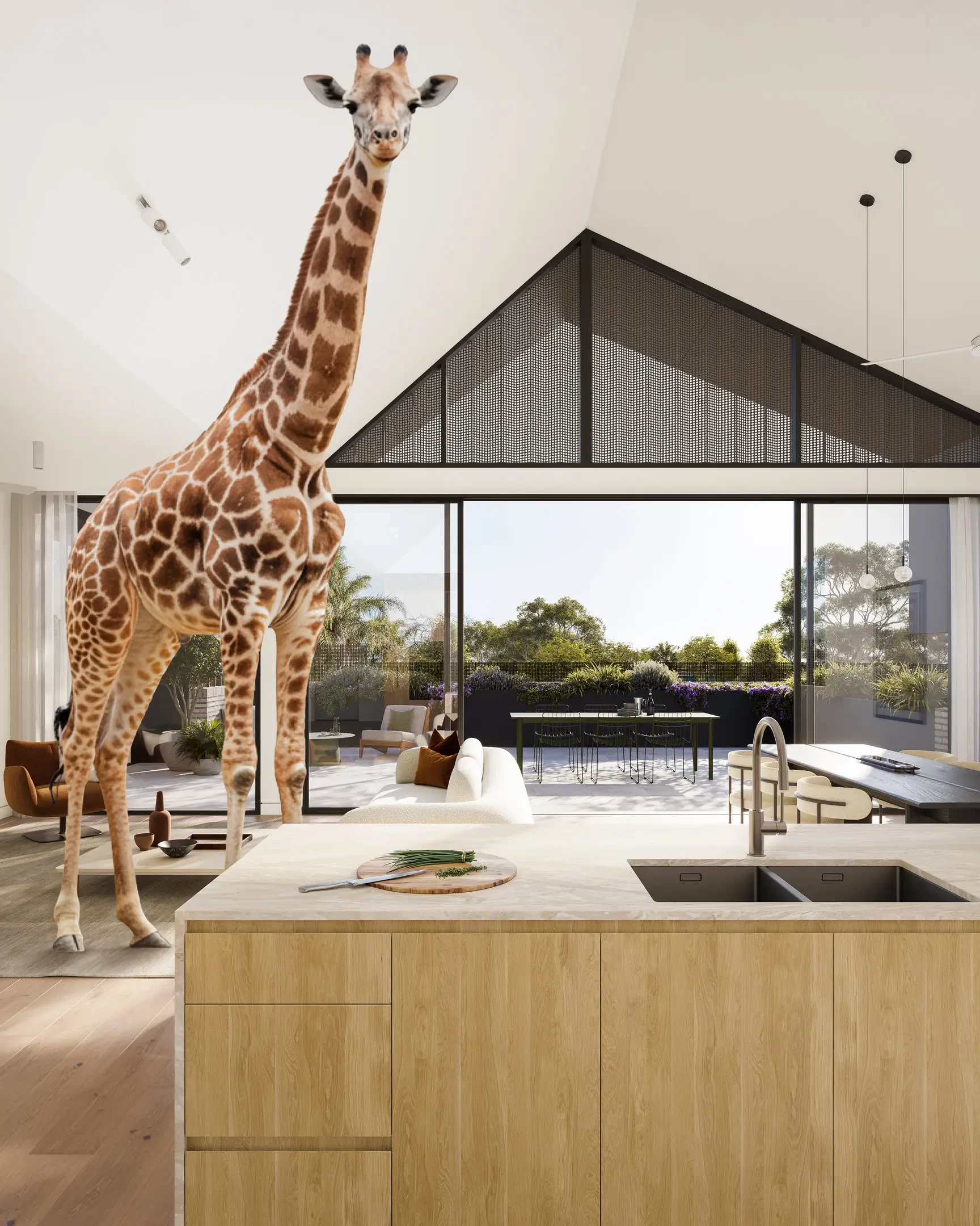 wimba-compressed-3_1771381516__original